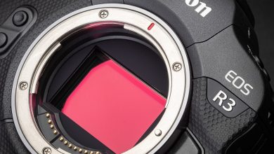 Canon says it can take half a year for your EOS R3 order to be delivered: Digital Photography Review