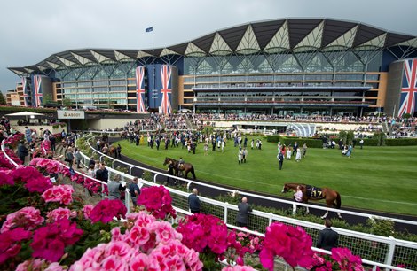 Ascot to provide a record wallet in 2022