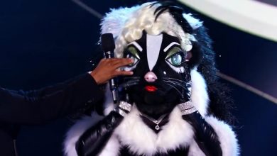 'The Masked Singer' reveals who's behind Skunk