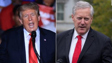 Trump says Mark Meadows' Covid claims are 'fake news'.  A few hours later, Meadows agreed
