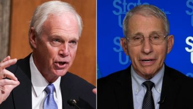 Fauci was dumbfounded by the GOP senator's false accusations