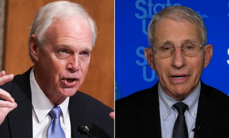 Fauci was dumbfounded by the GOP senator's false accusations