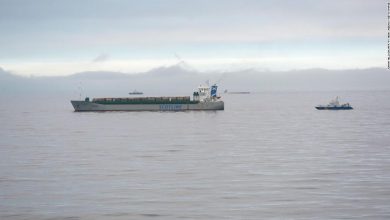 Baltic Sea: Two missing after cargo ship crash