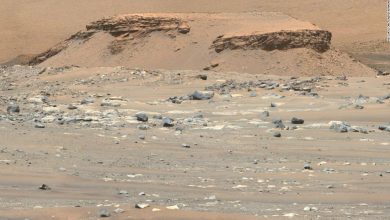 Persevering rover discovers 'completely unexpected' volcano on Mars
