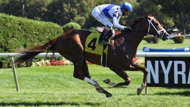 Allen Jerkens Stakes Tops Gulfsteam Christmas Eve Cards