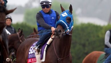 Flight, Dr. Schivel face off in Malibu Stakes