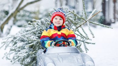 10 great gift ideas for your car-loving kid