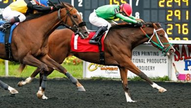 Two $500K NY Stallion Series Stocks Leading Water Action