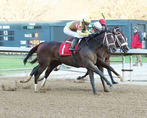 Caddo River DQ'd 2nd in Oaklawn Comeback