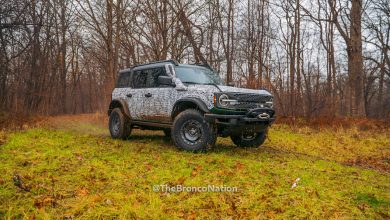 2022 Ford Bronco Everglades makeover in new official trailer