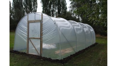 Guardian Author Uncovers Benefits of Petroleum-Based Plastic Greenhouses - Is It Up With That?