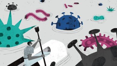 Antibodies are being created to fight disease in new ways