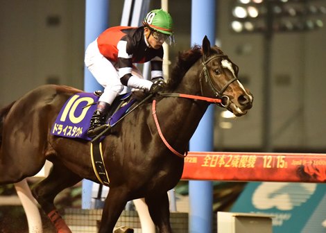 Dry Stout leads the way to Japan's Kentucky Derby