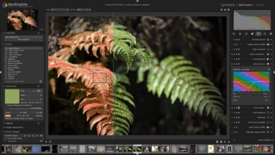 Darktable 3.8.0 adds support for Canon's CR3 Raw files, adds support for external controllers, and more: Digital Photography Review