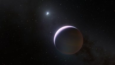 Astronomers use ESO's 'Very Large Telescope' to identify a new exoplanet defying expectations: Digital photography review