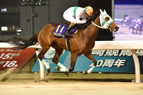 All new riders in "Japan Road to the Derby" Race Two