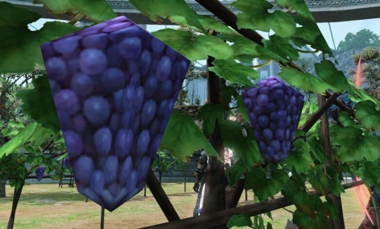 Final Fantasy 14 players come in as Patch 6.01 smooths blocky grapes