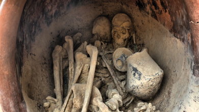 4 of 2021's biggest archaeological finds - including a 'game changer': NPR