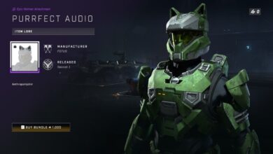You can now wear cat ears in Halo Infinite