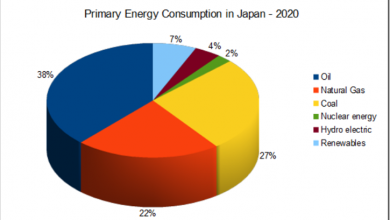 Japan builds 22 new coal power plants - Increase?