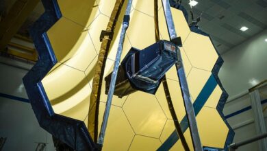 Video: Everything you need to know about the James Webb Space Telescope ahead of its launch: Digital Photography Review