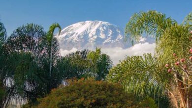 It snows EVERY DAY On the top of Kilimanjaro - Where is Al Gore?  - Is it good?