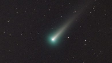 How to see comet Leonard as it approaches Earth in the coming days: NPR