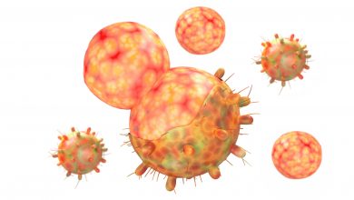 Coronavirus FAQ: Help me with omicron vocab.  What is immune evasion?  Inhibition?