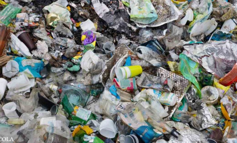 How Do We Stop Our Dangerous Addiction to Plastic?