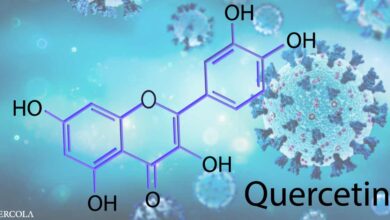 Quercetin - An Alternative to Hydroxychloroquine, etc.