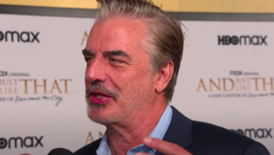 Chris Noth Denies Sexual Assault Allegation: The Encounter Was Consent!!