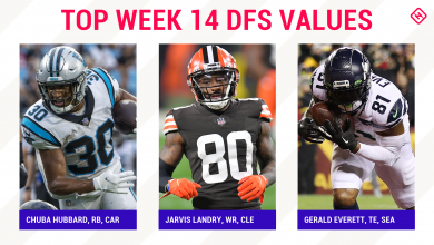 NFL DFS Week 14 Picks: Best Players, DraftKings Worthwhile, FanDuel Daily Fantasy Soccer Teams