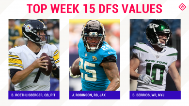 NFL DFS Week 15 Picks: The Best, DraftKings Worthwhile Players, FanDuel Daily Fantasy Soccer Teams