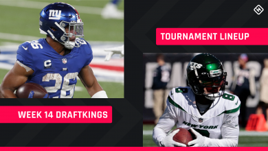 DraftKings Week 14 Picks: NFL DFS Squad Advice for Daily Fantasy Football GPP Tournaments