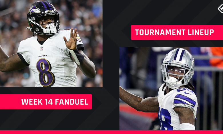 FanDuel Picks Week 14: NFL DFS roster tips for daily fantasy football GPP tournaments