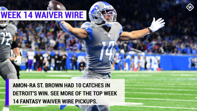 Best fantasy football waiver wire pickups for Week 14