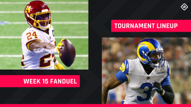 FanDuel Picks Week 15: NFL DFS roster tips for daily fantasy football GPP tournaments