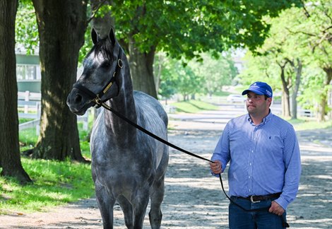 Godolphin sets one-season earnings record for 2021