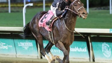 Smile Happy, Tiz the Bomb Work Forward 3-Year Old Debuts