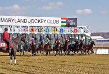 Safety Training, Racing at Laurel Park has been reported to the MRC
