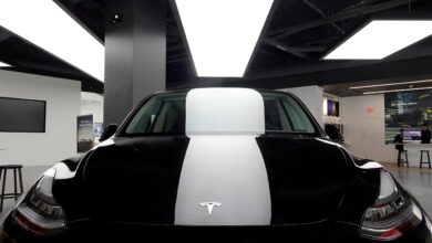 Elon Musk says Tesla will raise the price of 'FSD' to $12,000 in the US
