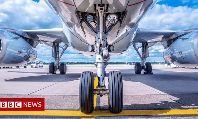 Stowaway found in South Africa plane wheel at Amsterdam airport