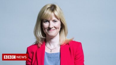 Rosie Duffield: MP considers leaving Labor over 'obsessive harassment'