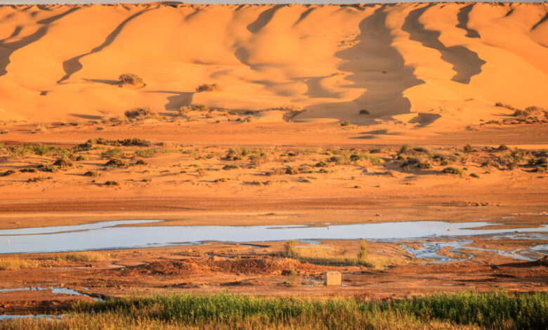 Terrain Creation North of the Sahara Would Save the World - What's the point of that?