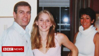 Prince Andrew accuser's 2009 settlement with Jeffrey Epstein made public