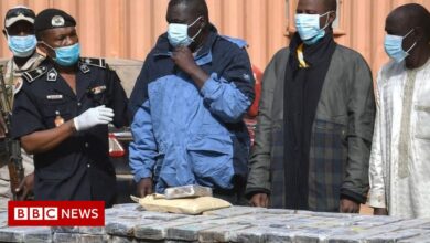 Niger police seize record 200kg of cocaine from mayor's car