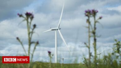 Tories urges Treasury to fund green energy plans