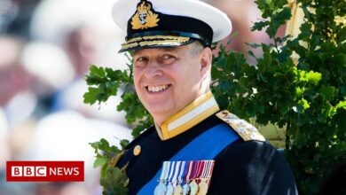 Prince Andrew: Why military titles and royal patronage mean so much