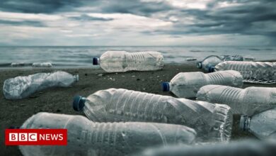 Report says plastic crisis needs binding treaty