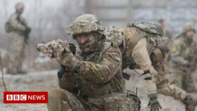 Russia-Ukraine crisis: UK sends weapons to defend Ukraine, says defense minister